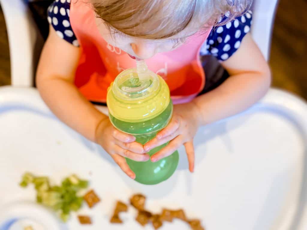 1 Year Old Feeding Schedule