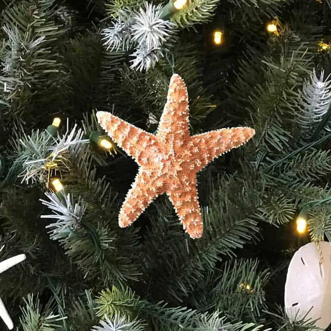 DIY starfish ornament for grandparents