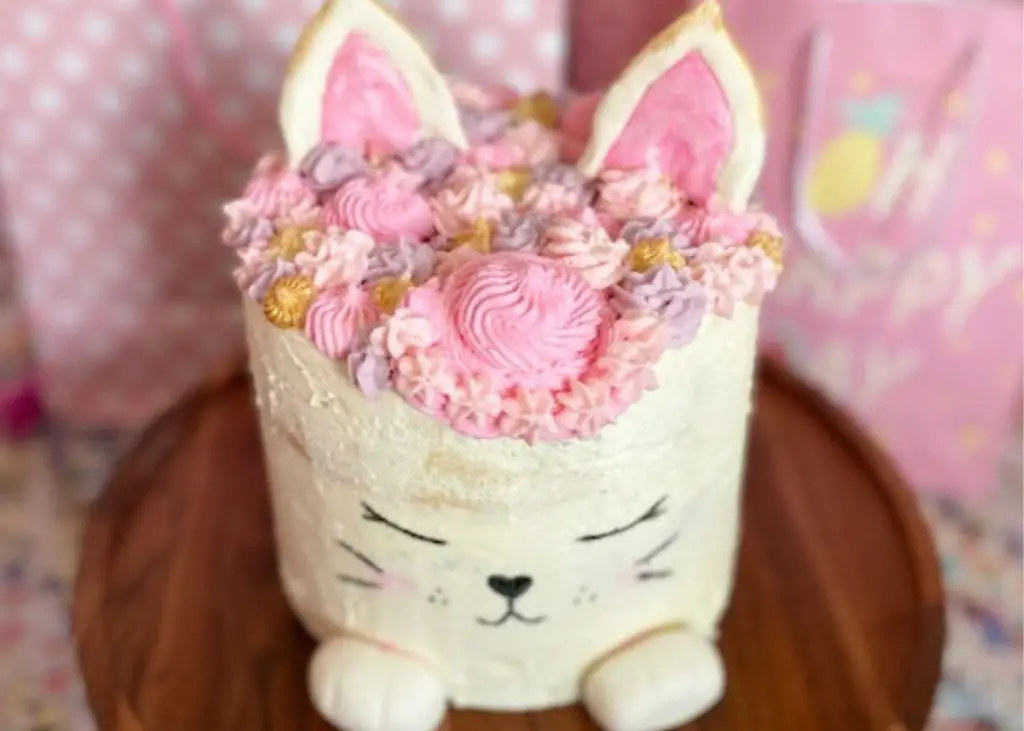 Cat birthday cake